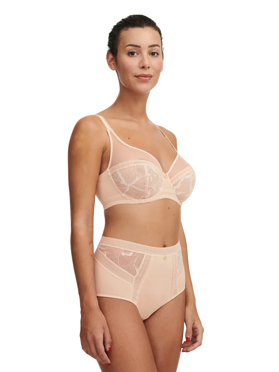 Chantelle - Slip taille haute True Lace Beige Doré – Image 4