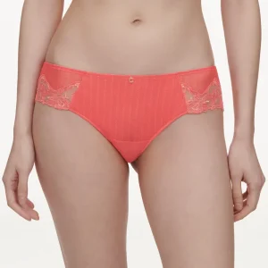 Chantelle - Cabaret Sauvage Révélateur Shorty Coral