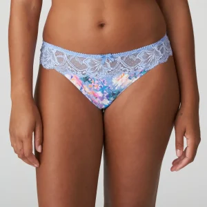 Primadonna - Madison String en plein air